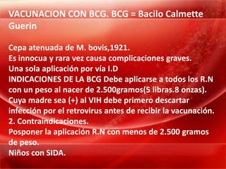 VACUNACION CON BCG. BCG = Bacilo Calmette
Guerin

Cepa atenuada de M. bovis,1921.
Es innocua y rara vez causa complicaciones graves.
Una sola aplicación por vía I.D
INDICACIONES DE LA BCG Debe aplicarse a todos los R.N
con un peso al nacer de 2.500gramos(5 libras.8 onzas).
Cuya madre sea (+) al VIH debe primero descartar
infección por el retrovirus antes de recibir la vacunación.
2. Contraindicaciones.
Posponer la aplicación R.N con menos de 2.500 gramos
de peso.
Niños con SIDA.
 