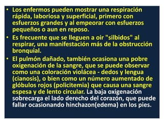 • Los enfermos pueden mostrar una respiración
rápida, laboriosa y superficial, primero con
esfuerzos grandes y al empeorar con esfuerzos
pequeños o aun en reposo.
• Es frecuente que se lleguen a oir "silbidos" al
respirar, una manifestación más de la obstrucción
bronquial.
• El pulmón dañado, también ocasiona una pobre
oxigenación de la sangre, que se puede observar
como una coloración violácea - dedos y lengua
(cianosis), o bien como un número aumentado de
glóbulos rojos (policitemia) que causa una sangre
espesa y de lento circular. La baja oxigenación
sobrecarga el lado derecho del corazón, que puede
fallar ocasionando hinchazon(edema) en los pies.
 