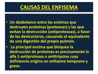 CAUSAS DEL ENFISEMA
• Un desbalance entre las enzimas que
destruyen proteinas (proteasas) y las que
evitan la destrucción (antiproteasas), a favor
de las destructoras, causando el equivalente
de una digestión del propio pulmón.
• La principal enzima que bloquea la
destrucción de proteinas es precisamente la
alfa 1-antiproteasa o antitripsina cuya
deficiencia origina un enfisema temprano y
grave.
 