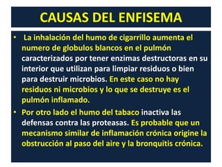 CAUSAS DEL ENFISEMA
• La inhalación del humo de cigarrillo aumenta el
numero de globulos blancos en el pulmón
caracterizados por tener enzimas destructoras en su
interior que utilizan para limpiar residuos o bien
para destruir microbios. En este caso no hay
residuos ni microbios y lo que se destruye es el
pulmón inflamado.
• Por otro lado el humo del tabaco inactiva las
defensas contra las proteasas. Es probable que un
mecanismo similar de inflamación crónica origine la
obstrucción al paso del aire y la bronquitis crónica.
 
