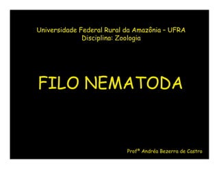 Universidade Federal Rural da Amazônia – UFRA
              Disciplina: Zoologia




FILO NEMATODA


                           Profª Andréa Bezerra de Castro
 