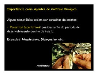 Importância como Agentes de Controle Biológico


Alguns nematóides podem ser parasitas de insetos:

• Parasitas facultativos: passam parte do período de
desenvolvimento dentro do inseto.

Exemplos: Neoplectana, Diplogaster, etc..




                     Neoplectana
 