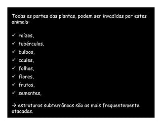 Todas as partes das plantas, podem ser invadidas por estes
animais:

 raízes,
 tubérculos,
 bulbos,
 caules,
 folhas,
 flores,
 frutos,
 sementes,

 estruturas subterrâneas são as mais frequentemente
atacadas.
 