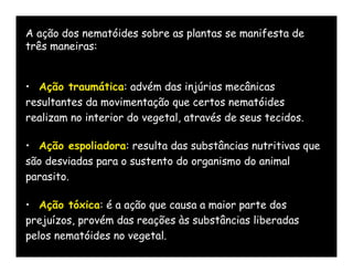 A ação dos nematóides sobre as plantas se manifesta de
três maneiras:


• Ação traumática: advém das injúrias mecânicas
resultantes da movimentação que certos nematóides
realizam no interior do vegetal, através de seus tecidos.

• Ação espoliadora: resulta das substâncias nutritivas que
são desviadas para o sustento do organismo do animal
parasito.

• Ação tóxica: é a ação que causa a maior parte dos
prejuízos, provém das reações às substâncias liberadas
pelos nematóides no vegetal.
 