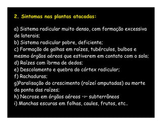 2. Sintomas nas plantas atacadas:

a) Sistema radicular muito denso, com formação excessiva
de laterais;
b) Sistema radicular pobre, deficiente;
c) Formação de galhas em raízes, tubérculos, bulbos e
mesmo órgãos aéreos que estiverem em contato com o solo;
d) Raízes com íbrma de dedos;
e) Descolamento e quebra do córtex radicular;
f) Rachaduras;
g)Paralisação do crescimento (raízeí amputadas) ou morte
da ponta das raízes;
h) Necrose em órgãos aéreos •>• subterrâneos
i) Manchas escuras em folhas, caules, frutos, etc..
 