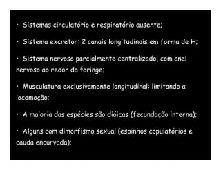 • Sistemas circulatório e respiratório ausente;

• Sistema excretor: 2 canais longitudinais em forma de H;

• Sistema nervoso parcialmente centralizado, com anel
nervoso ao redor da faringe;

• Musculatura exclusivamente longitudinal: limitando a
locomoção;

• A maioria das espécies são dióicas (fecundação interna);

• Alguns com dimorfismo sexual (espinhos copulatórios e
cauda encurvada);
 