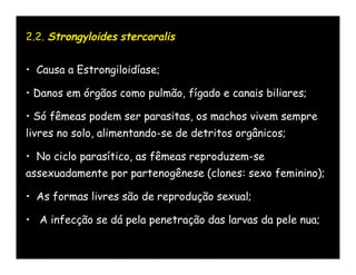 2.2. Strongyloides stercoralis


• Causa a Estrongiloidíase;

• Danos em órgãos como pulmão, fígado e canais biliares;

• Só fêmeas podem ser parasitas, os machos vivem sempre
livres no solo, alimentando-se de detritos orgânicos;

• No ciclo parasítico, as fêmeas reproduzem-se
assexuadamente por partenogênese (clones: sexo feminino);

• As formas livres são de reprodução sexual;

• A infecção se dá pela penetração das larvas da pele nua;
 