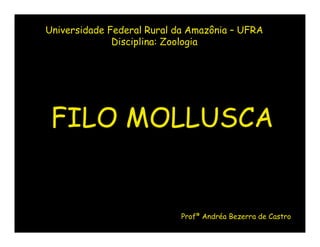 Universidade Federal Rural da Amazônia – UFRA
              Disciplina: Zoologia




 FILO MOLLUSCA


                            Profª Andréa Bezerra de Castro
 
