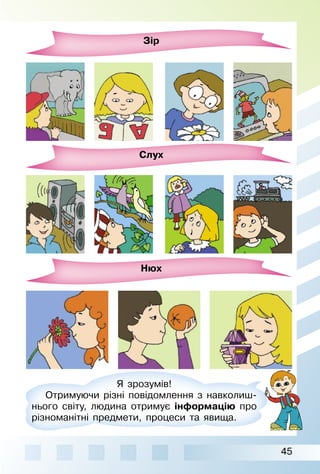 45
Зір
Слух
Нюх
Я зрозумів!
Отримуючи різні повідомлення з навколиш­
нього світу, людина отримує інформацію про
різноманітні предмети, процеси та явища.
 