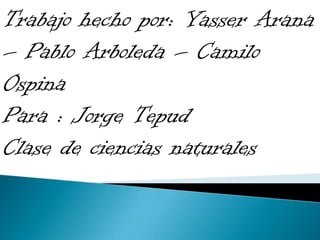 Trabajo hecho por: Yasser Arana
– Pablo Arboleda – Camilo
Ospina
Para : Jorge Tepud
Clase de ciencias naturales
 