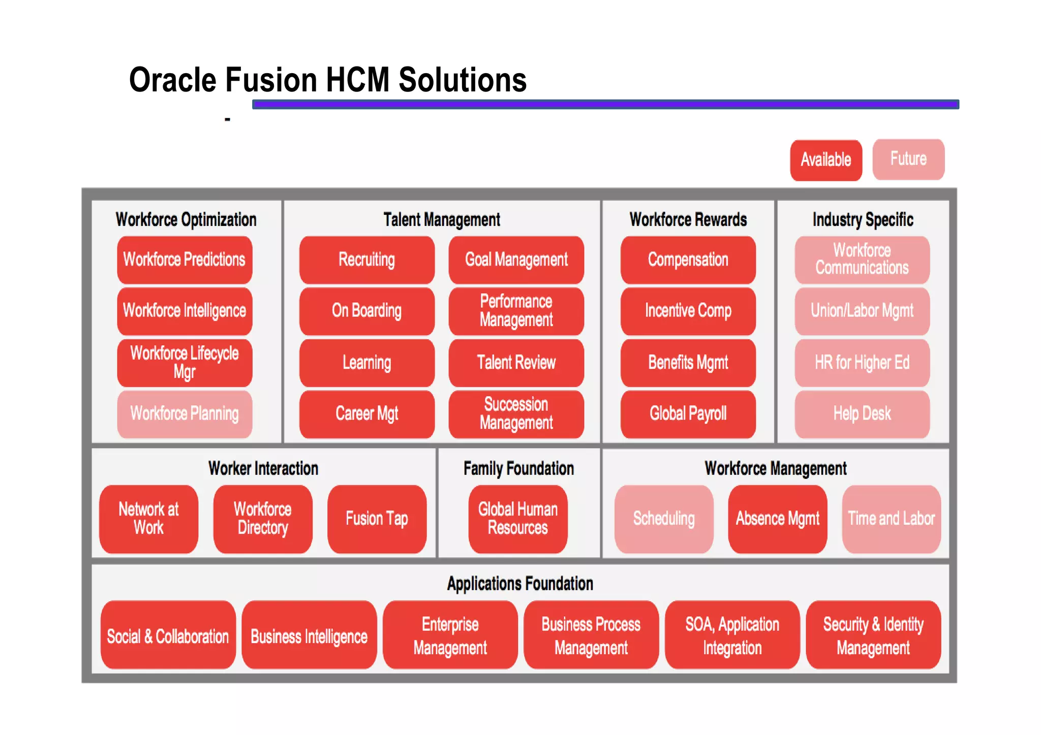 Oracle Fusion HCM Fixed Scope Offering | PDF | Cloud Computing | Internet