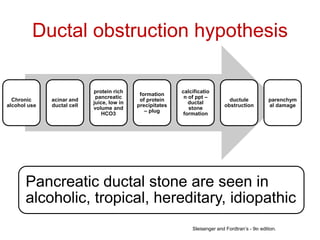 Ductal obstruction hypothesis
Chronic
alcohol use
acinar and
ductal cell
protein rich
pancreatic
juice, low in
volume and
HCO3
formation
of protein
precipitates
– plug
calcificatio
n of ppt –
ductal
stone
formation
ductule
obstruction
parenchym
al damage
Pancreatic ductal stone are seen in
alcoholic, tropical, hereditary, idiopathic
Sleisenger and Fordtran’s - 9th edition.
 