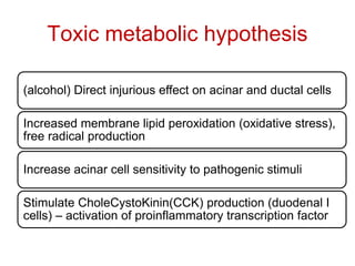 Toxic metabolic hypothesis
(alcohol) Direct injurious effect on acinar and ductal cells
Increased membrane lipid peroxidation (oxidative stress),
free radical production
Increase acinar cell sensitivity to pathogenic stimuli
Stimulate CholeCystoKinin(CCK) production (duodenal I
cells) – activation of proinflammatory transcription factor
 