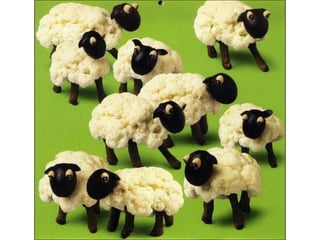 Educación nacional y opinión pública (México, Centro de Estudios Educativos, 1979); Mitos y verdades de la educación mexicana (México, Centro de Estudios Educativos, 1979); Comentarios de la reforma educativa (México, SEP/ Setentas, 1980); Política educativa y valores nacionales (México, Nueva Imagen, 1989); Justicia y cambio social (México, Centro de Reflexión Teológica, 1982). Pablo Latapífuéun magnífico escritor y analista, como lo corroboran sus colaboraciones por años en la revista ProcesoSu Obra