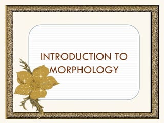 INTRODUCTION TO MORPHOLOGY 