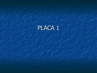 PLACA 1 