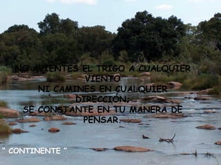 NO AVIENTES EL TRIGO A CUALQUIER VIENTO NI CAMINES EN CUALQUIER DIRECCIÓN; SE CONSTANTE EN TU MANERA DE PENSAR. “  CONTINENTE ” 