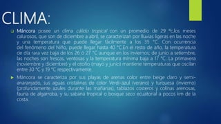 CLIMA:
 Máncora posee un clima cálido tropical con un promedio de 29 ºc,los meses
calurosos, que son de diciembre a abril, se caracterizan por lluvias ligeras en las noche
y una temperatura que puede llegar fácilmente a los 35 °C. Con ocurrencia
del fenómeno del Niño, puede llegar hasta 40 °C.En el resto de año, la temperatura
de día rara vez baja de los 26 ó 27 °C aunque en los inviernos; de junio a setiembre,
las noches son frescas, ventosas y la temperatura mínima baja a 17 °C. La primavera
(noviembre y diciembre) y el otoño (mayo y junio) mantiene temperaturas que oscilan
entre 30 °C y 19 °C respectivamente.
 Máncora se caracteriza por sus playas de arenas color entre beige claro y semi-
anaranjado, sus aguas cristalinas de color Verdi-azul (verano) y turquesa (invierno)
(profundamente azules durante las mañanas), tablazos costeros y colinas arenosas,
fauna de algarroba, y su sabana tropical o bosque seco ecuatorial a pocos km de la
costa.
 