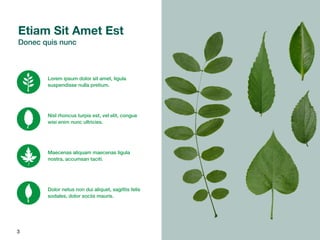 3
Lorem ipsum dolor sit amet, ligula
suspendisse nulla pretium.
Dolor netus non dui aliquet, sagittis felis
sodales, dolor sociis mauris.
Nisl rhoncus turpis est, vel elit, congue
wisi enim nunc ultricies.
Maecenas aliquam maecenas ligula
nostra, accumsan taciti.
Etiam Sit Amet Est
Donec quis nunc
 