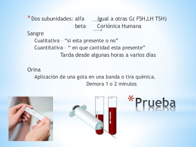 prueba de embarazo en sangre cualitativa