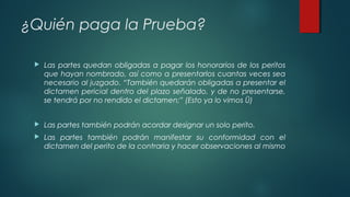 ¿Quién paga la Prueba?
 Las partes quedan obligadas a pagar los honorarios de los peritos
que hayan nombrado, así como a presentarlos cuantas veces sea
necesario al juzgado. “También quedarán obligadas a presentar el
dictamen pericial dentro del plazo señalado, y de no presentarse,
se tendrá por no rendido el dictamen;” (Esto ya lo vimos Ü)
 Las partes también podrán acordar designar un solo perito.
 Las partes también podrán manifestar su conformidad con el
dictamen del perito de la contraria y hacer observaciones al mismo
 