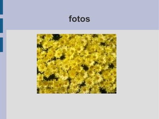 fotos 