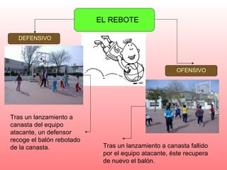EL REBOTE DEFENSIVO OFENSIVO Tras un lanzamiento a canasta del equipo atacante, un defensor recoge el balón rebotado de la canasta. Tras un lanzamiento a canasta fallido por el equipo atacante, éste recupera de nuevo el balón. 