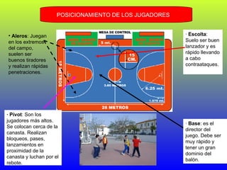 POSICIONAMIENTO DE LOS JUGADORES Aleros : Juegan en los extremos del campo, suelen ser buenos tiradores y realizan rápidas penetraciones. · Pívot : Son los jugadores más altos. Se colocan cerca de la canasta. Realizan bloqueos, pases, lanzamientos en proximidad de la canasta y luchan por el rebote. ·  Escolta : Suelo ser buen lanzador y es rápido llevando a cabo contraataques. ·  Base : es el director del juego. Debe ser muy rápido y tener un gran dominio del balón. 