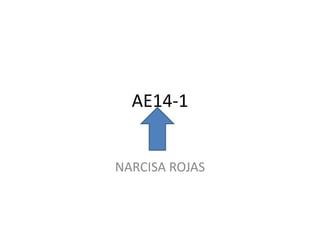 AE14-1

NARCISA ROJAS

 