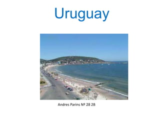 Uruguay
Andres Parins Nº 28 2B
 