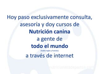 Hoy paso exclusivamente consulta,
     asesoría y doy cursos de
        Nutrición canina
            a gente de
         todo el mundo
             (hablo inglés y francés)


       a través de internet
 