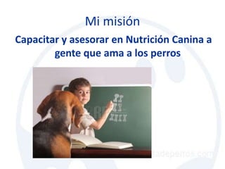 Mi misión
Capacitar y asesorar en Nutrición Canina a
        gente que ama a los perros
 