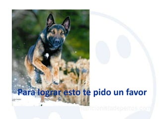 Para lograr esto te pido un favor
 