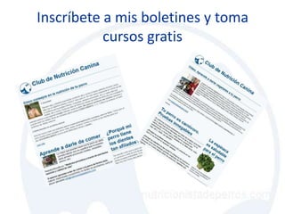 Inscríbete a mis boletines y toma
           cursos gratis
 