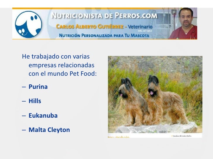 Cursos de Nutrición Canina