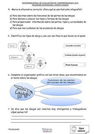 SISTEMAREGIONAL DE EVALUACIÓN DE LOSAPRENDIZAJES- 2015
PRUEBADE ENTRADADEL CUARTO GRADO
10Cuarto grado Sigue
adelante
4.- Marca la alternativa correcta: ¿Para qué se escribió esta infografía?:
a) Para decirnos sobre las funciones de las partes de las abejas.
b) Para darnos a conocer los tipos y formas de las abejas
c) Para proporcionar información sobre las partes, tipos y curiosidades de
las abejas.
d) Para que nos cuidemos de las picaduras de abejas.
5. Identifica los tipos de abeja y une con una línea lo que hacen en el panal.
6. Completa el organizador gráfico con las otras ideas, que encontramos en
el texto sobre las abejas.
7. Se dice que las abejas son insectos muy inteligentes y trabajadoras
¿Qué opinas tú?
___________________________________________________
_____________________________________________________
__________________________________________________
 