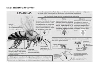 LEE LA SIGUIENTE INFOGRAFIA:
 