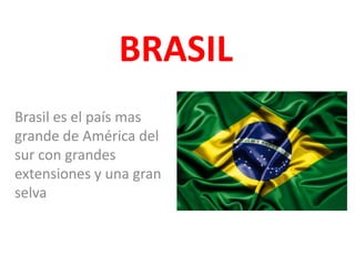 BRASIL
Brasil es el país mas
grande de América del
sur con grandes
extensiones y una gran
selva
 