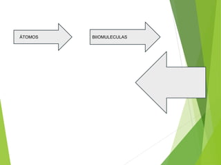 ÁTOMOS BIIOMULECULAS
