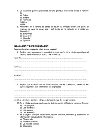 7. La sustancia química producida por una glándula endocrina recibe le nombre
de :
a) Saliva
b) Sangre
c) Hormona
d) Orina
e) N.A
8. Alexandra en el verano se olvida de llevar su protector solar a la playa, al
regresar su cara se pone roja, ¿qué tejido se ha dañado en el rostro de
Alexandra?
a) Sanguíneo
b) Conectivo
c) Muscular
d) Epitelial
INDAGACION Y EXPERIMENTACION
Reconoce las diferencias entre célula animal y vegetal
9. Explica paso a paso como se realizó la observación de la célula vegetal con el
catafilo de la cebolla EN SOLO TRES PASOS
Paso 1:…………………………………………………………………………………
…………………………………………………………………………………………………
………………………………………………………………………………………………….
Paso 2: …………………………………………………………………………………
…………………………………………………………………………………………………
………………………………………………………………………………………………….
PASO 3: …………………………………………………………………………………
…………………………………………………………………………………………………
………………………………………………………………………………………………….
10.Explica que sucedió con las flores blancas que se colorearon, menciona los
tejidos vegetales que intervienen en el proceso
…………………………………………………………………………………………………
…………………………………………………………………………………………………
…………………………………………………………………………………………………
…………………………………………………………………………………………………
Identifica estructuras celulares y órganos de los sistemas del cuerpo humano
11.Es la célula nerviosa que transmite la información al Sistema Nervioso Central
a) Los ganglios
b) Las dendritas
c) Los axones
d) Las neuronas
12.Es el órgano principal del sistema, recibe, procesa, almacena y transforma la
información, regulando la información
a) El cerebelo
b) El bulbo raquídeo
c) La médula espinal
d) El cerebro
 