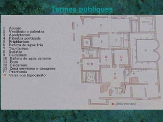 Termes públiques 