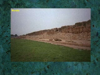 Muralla 