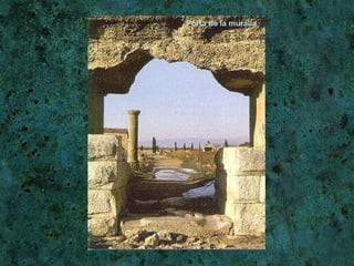 Porta de la muralla 