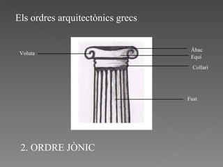 Els ordres arquitectònics grecs Àbac Equí Collarí Fust 2. ORDRE JÒNIC Voluta 