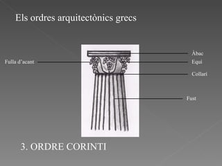 Els ordres arquitectònics grecs Àbac Equí Collarí Fust 3. ORDRE CORINTI Fulla d’acant 