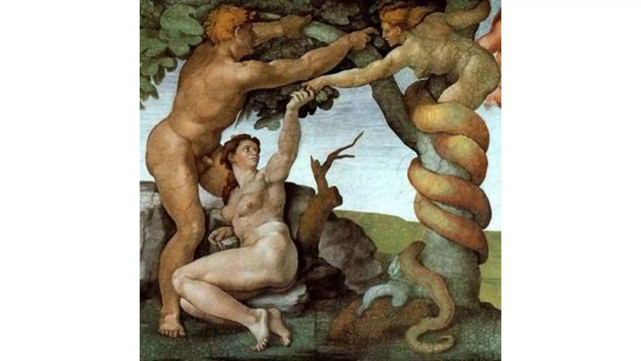 Prueba confirmación renacimiento