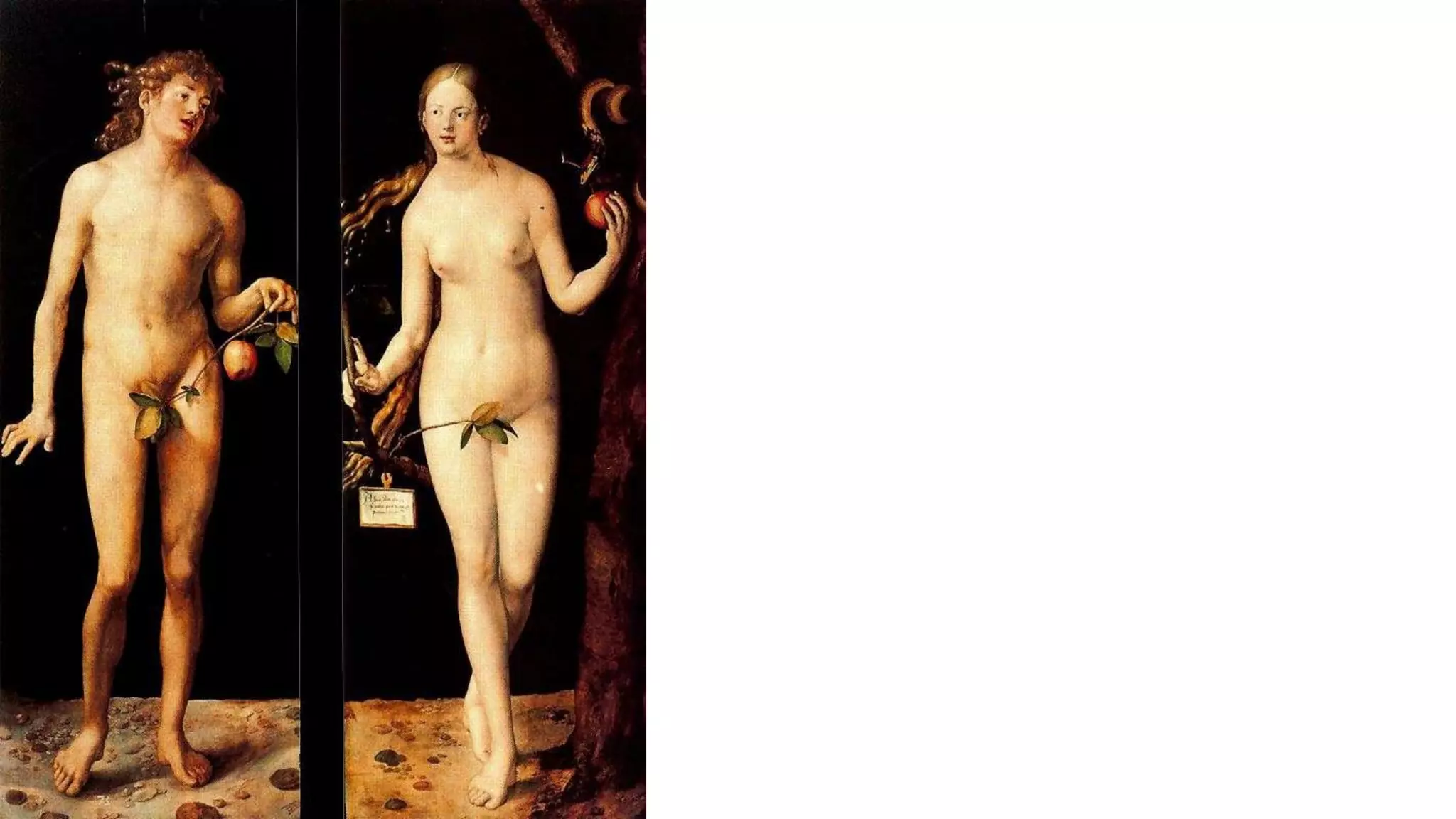 Prueba confirmación renacimiento