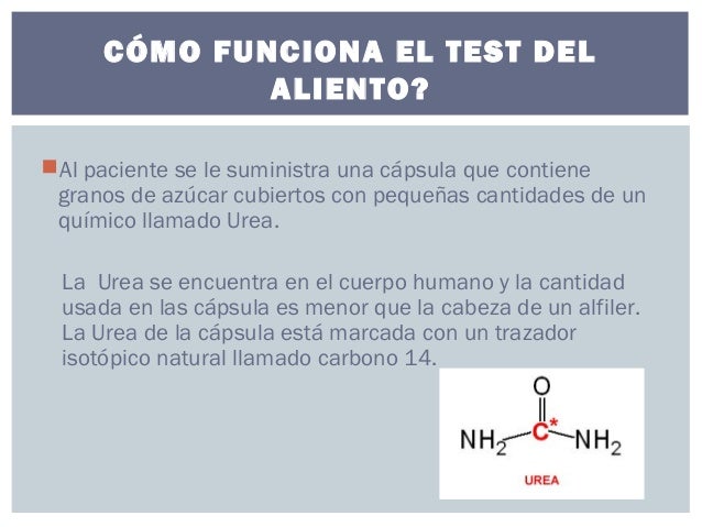 PRUEBA DE UREASE EN ALIENTO EPUB PRUEBA DE UREASE EN ALIENTO EPUB