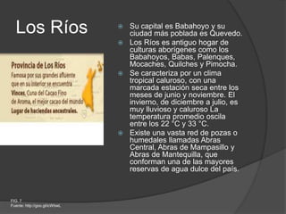 Los Ríos  Su capital es Babahoyo y su
ciudad más poblada es Quevedo.
 Los Ríos es antiguo hogar de
culturas aborígenes como los
Babahoyos, Babas, Palenques,
Mocaches, Quilches y Pimocha.
 Se caracteriza por un clima
tropical caluroso, con una
marcada estación seca entre los
meses de junio y noviembre. El
invierno, de diciembre a julio, es
muy lluvioso y caluroso La
temperatura promedio oscila
entre los 22 °C y 33 °C.
 Existe una vasta red de pozas o
humedales llamadas Abras
Central, Abras de Mampasillo y
Abras de Mantequilla, que
conforman una de las mayores
reservas de agua dulce del país.
FIG. 7
Fuente: http://goo.gl/icWbwL
 