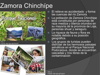 Zamora Chinchípe
 El relieve es accidentado y forma
las cuencas del río Zamora.
 La población de Zamora Chinchipe
está constituida por personas de
raza mestiza y blanca oriundos en
su mayoría de la provincia de Loja,
personas shuar y saraguro.
 La riqueza de fauna y flora es
notable debido a su posición
geográfica.
 Los grupos de turistas pueden
disfrutar de los hermosos paisajes
selváticos en el Parque Nacional
Podocarpus, donde se encuentran
cascadas y ríos libres de la
contaminación
FIG. 9
Fuente: http://goo.gl/Tqjvc8
FIG. 8
Fuente: http://goo.gl/Uhkmk3
 